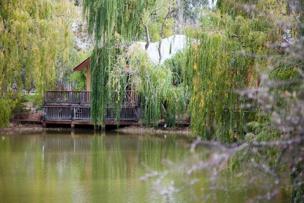 Perricoota Vines Retreat Hotel Moama Kamer foto