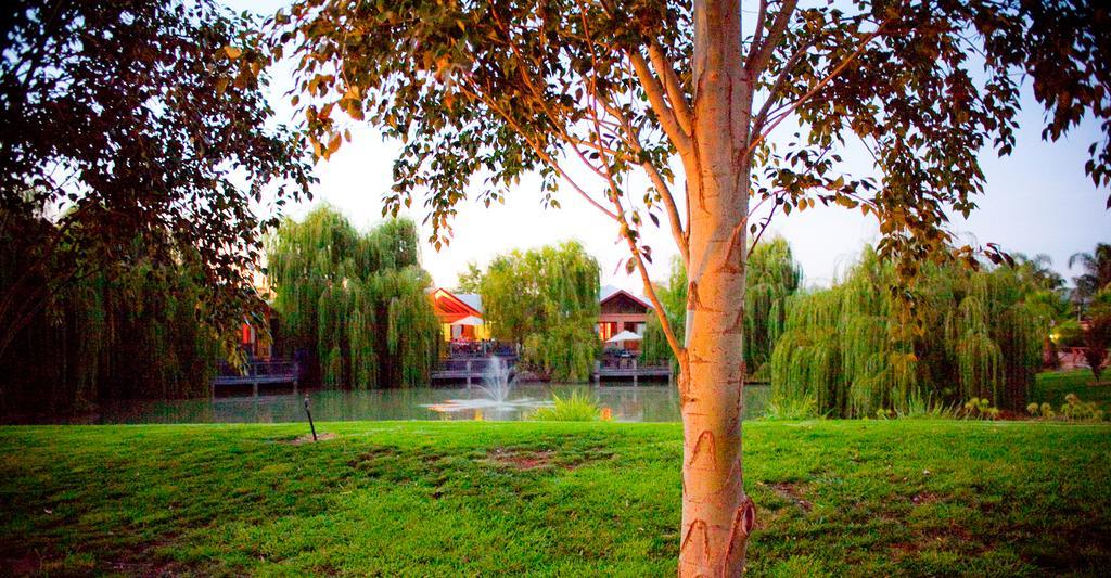 Perricoota Vines Retreat Hotel Moama Buitenkant foto