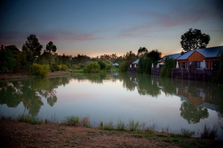 Perricoota Vines Retreat Hotel Moama Kamer foto