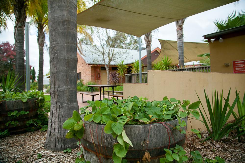 Perricoota Vines Retreat Hotel Moama Buitenkant foto