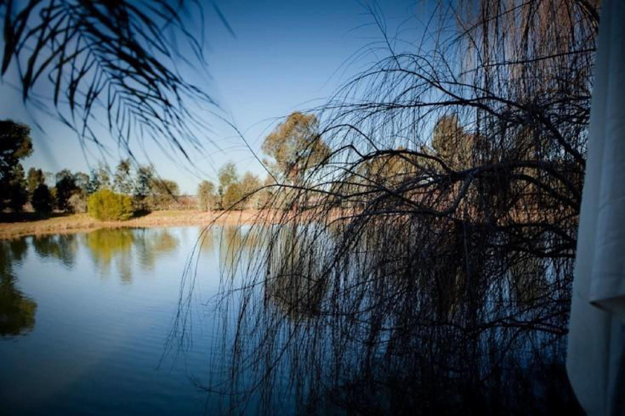 Perricoota Vines Retreat Hotel Moama Buitenkant foto