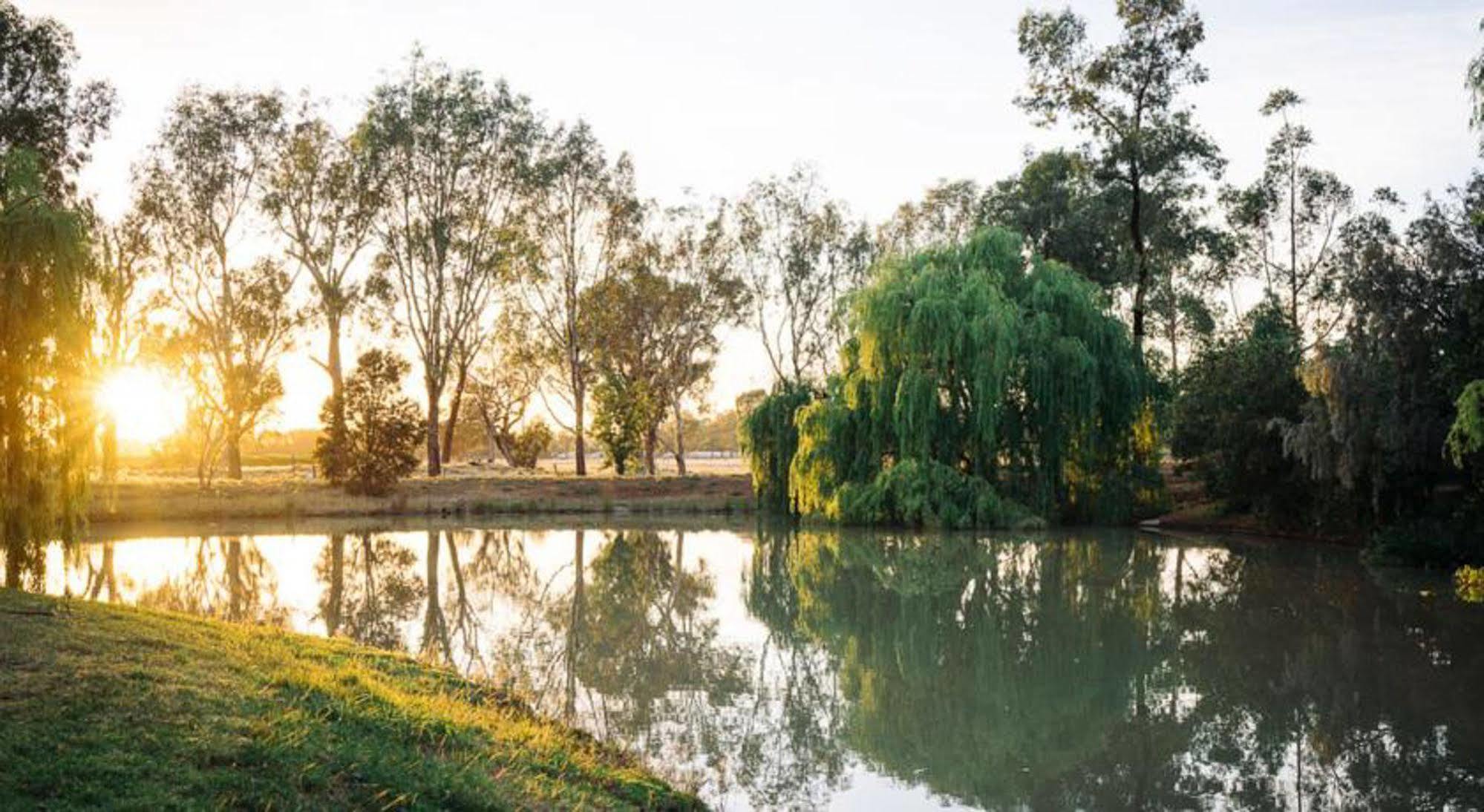 Perricoota Vines Retreat Hotel Moama Buitenkant foto